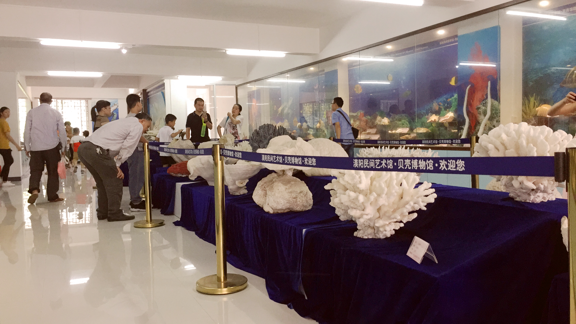 微信图片_20180506102409.jpg